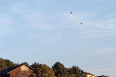 IMG_20230902_072552